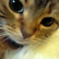 ゆりりん 会員画像