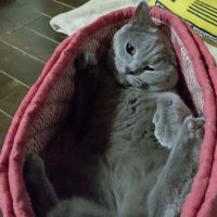 れな2025 会員画像