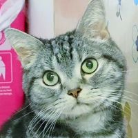シュちゃんさん