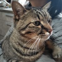 月夜に散歩さん