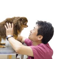 七里動物病院さん