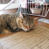 会員画像