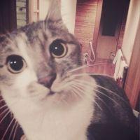 さきゆり 会員画像