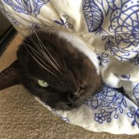 サスキキジジ 会員画像