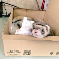 ゆうくう 会員画像