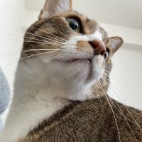 bylily 会員画像