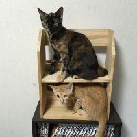 会員画像