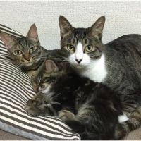 オダ 会員画像