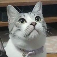 会員画像