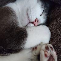 会員画像