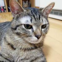 あーーーす 会員画像