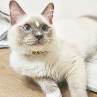 チロやん 会員画像