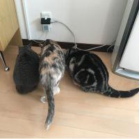 会員画像
