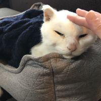 会員画像
