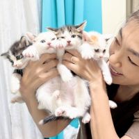 なみおかしゃんさん