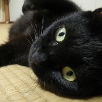 モトサーン 会員画像