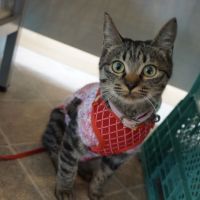 潤和ねこサポートライフさん