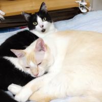 そらとはな 会員画像