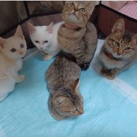 マロくんママ 会員画像