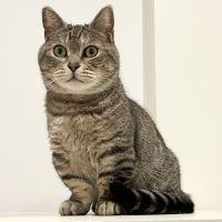 Kささみ 会員画像