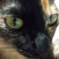 NASHさん