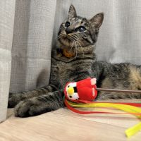 mozmoz927 会員画像