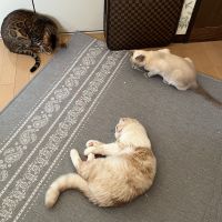 くさまさん