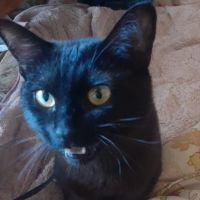 ミウミユ 会員画像