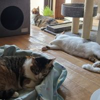 Emiっちさん