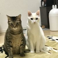 キームーママさん