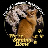 さんだあそにあさん