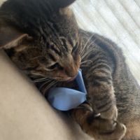 ゆうとも。 会員画像