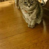 豆餅ゴー 会員画像