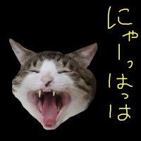 Saila 会員画像