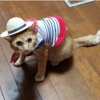 みおちゃん。 会員画像