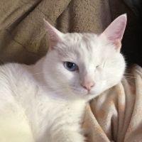 snow1410 会員画像