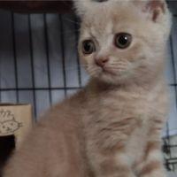 。:+マイ+:。 会員画像