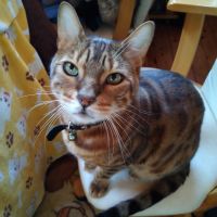 エステル母 会員画像