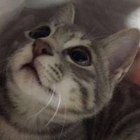 節子さん 会員画像