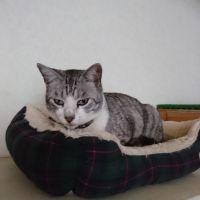 にゃん16さん