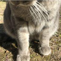 かんじょー 会員画像