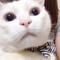 会員画像