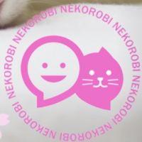 ねころび 会員画像