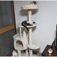 会員画像