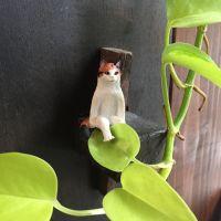 会員画像