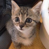 かおり4969 会員画像