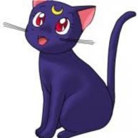 ルナアルテミスさん