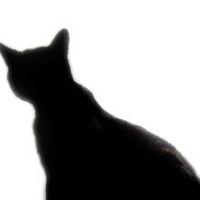 ハク 会員画像