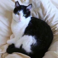 keyBcat7 会員画像