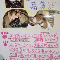 会員画像